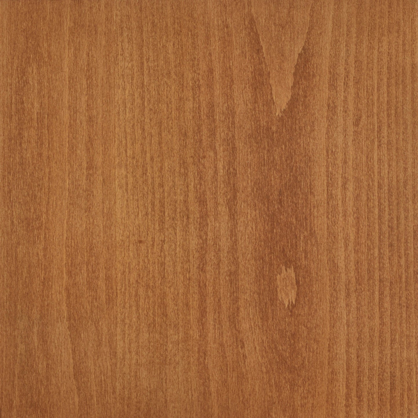 Beech