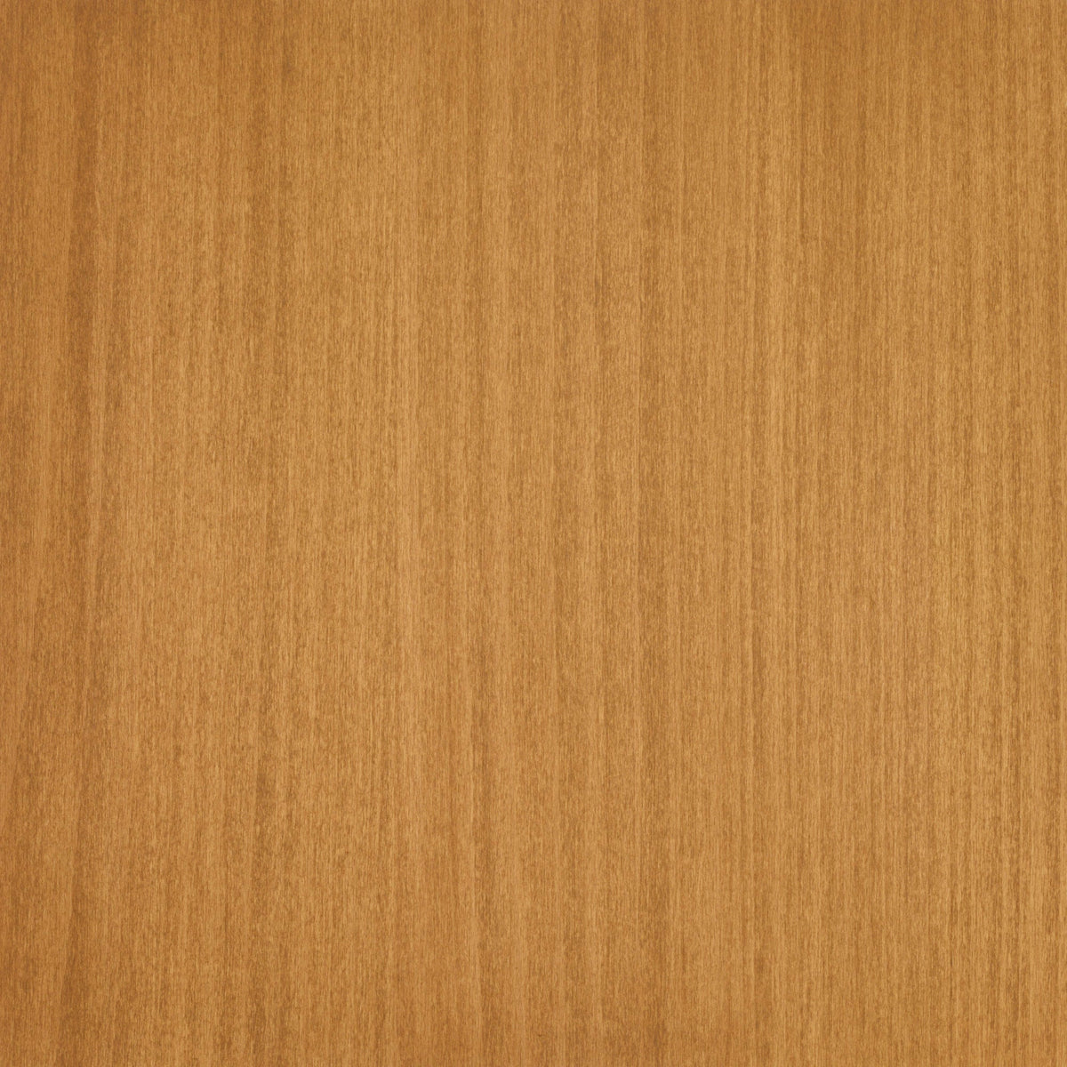 Beech