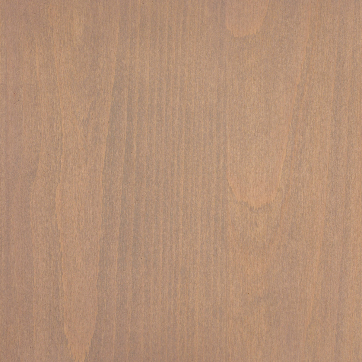 Beech