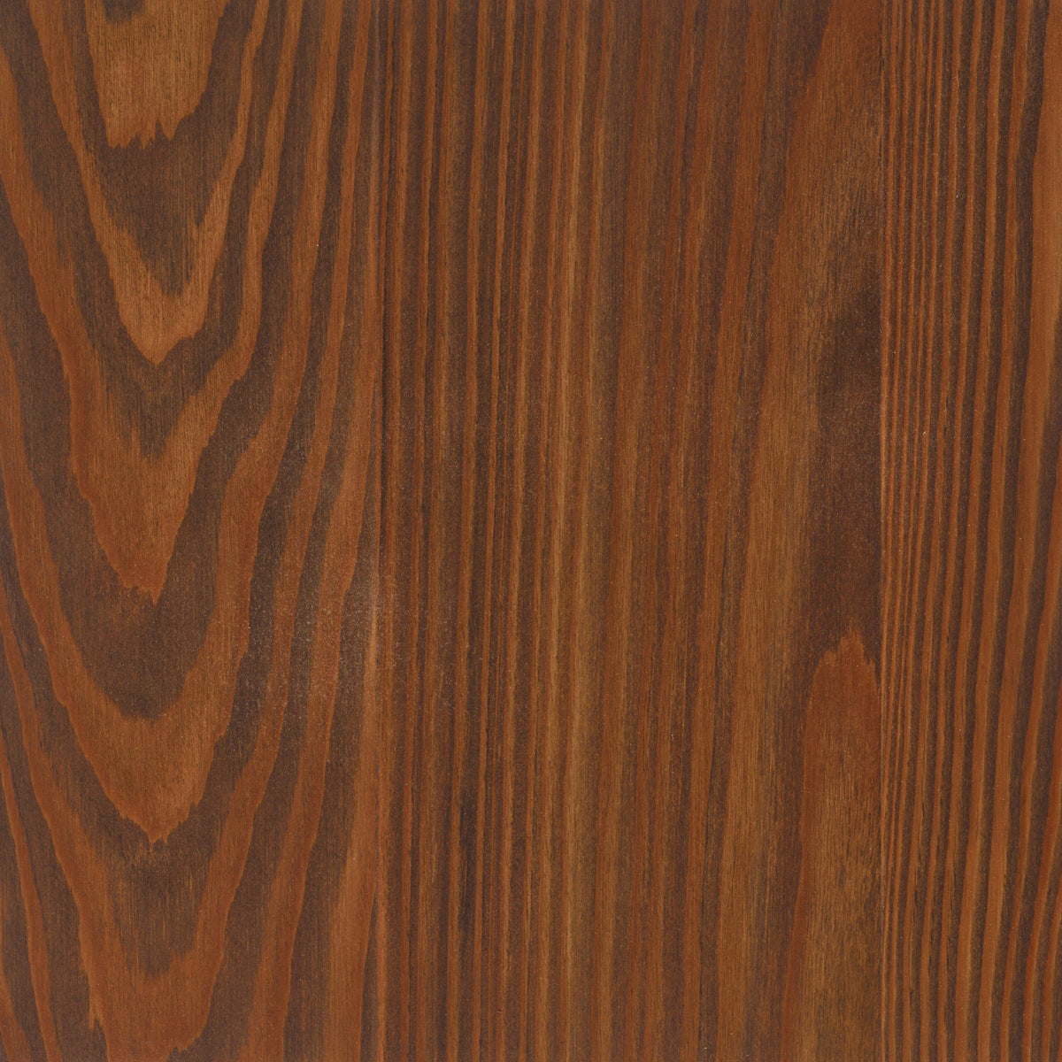 Larch
