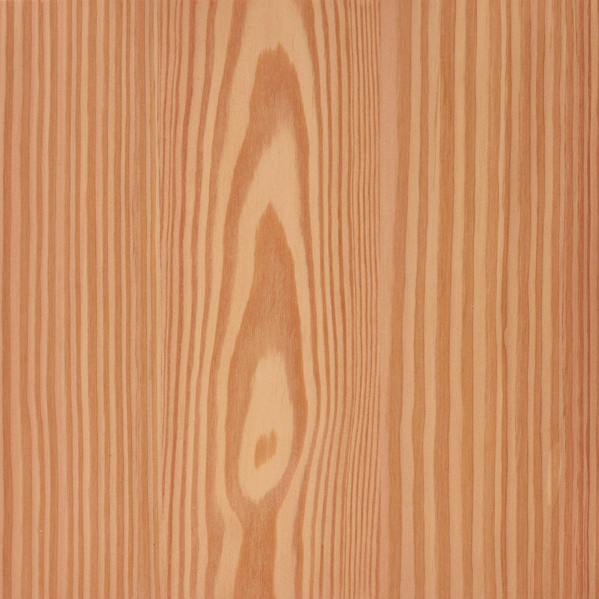 Larch