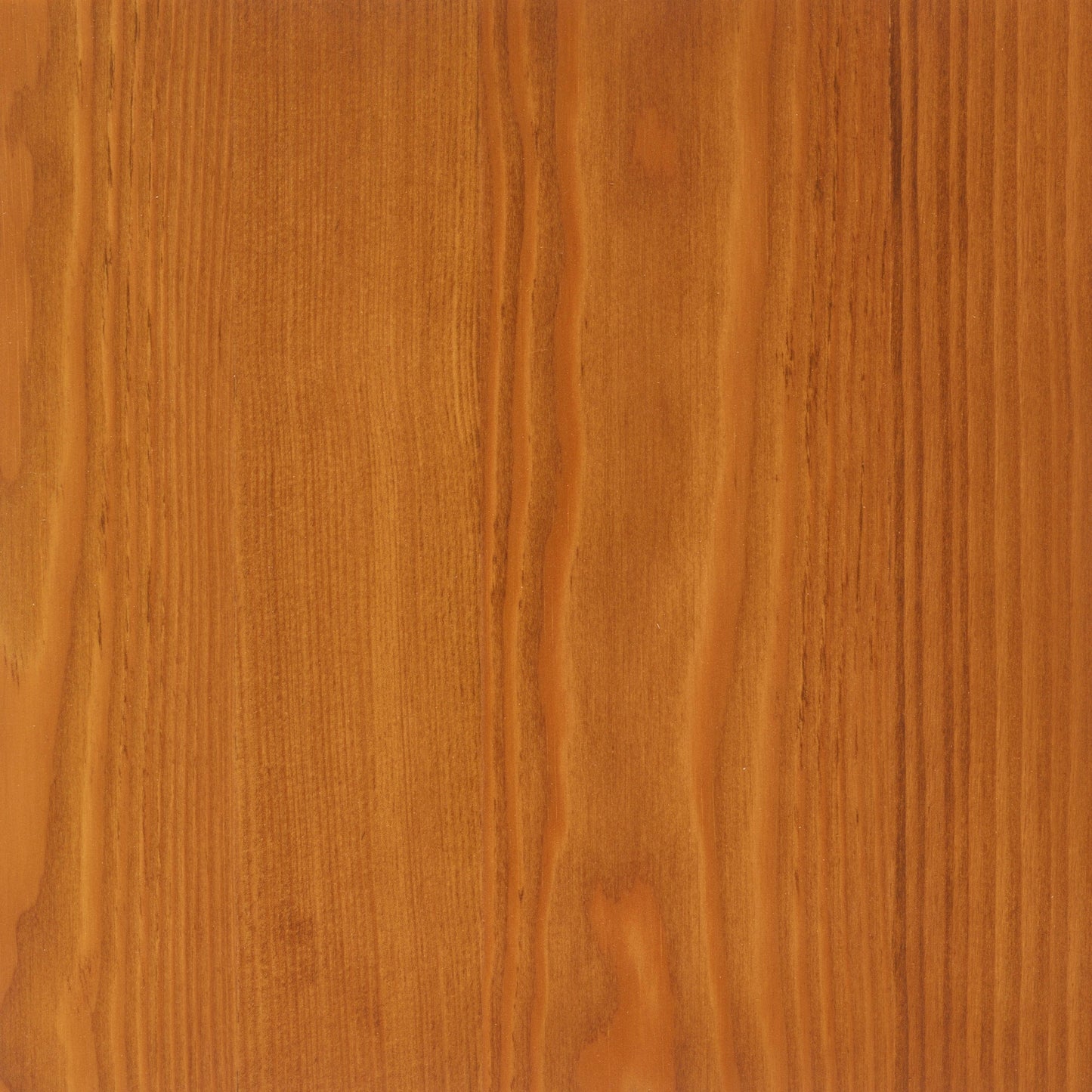 Larch