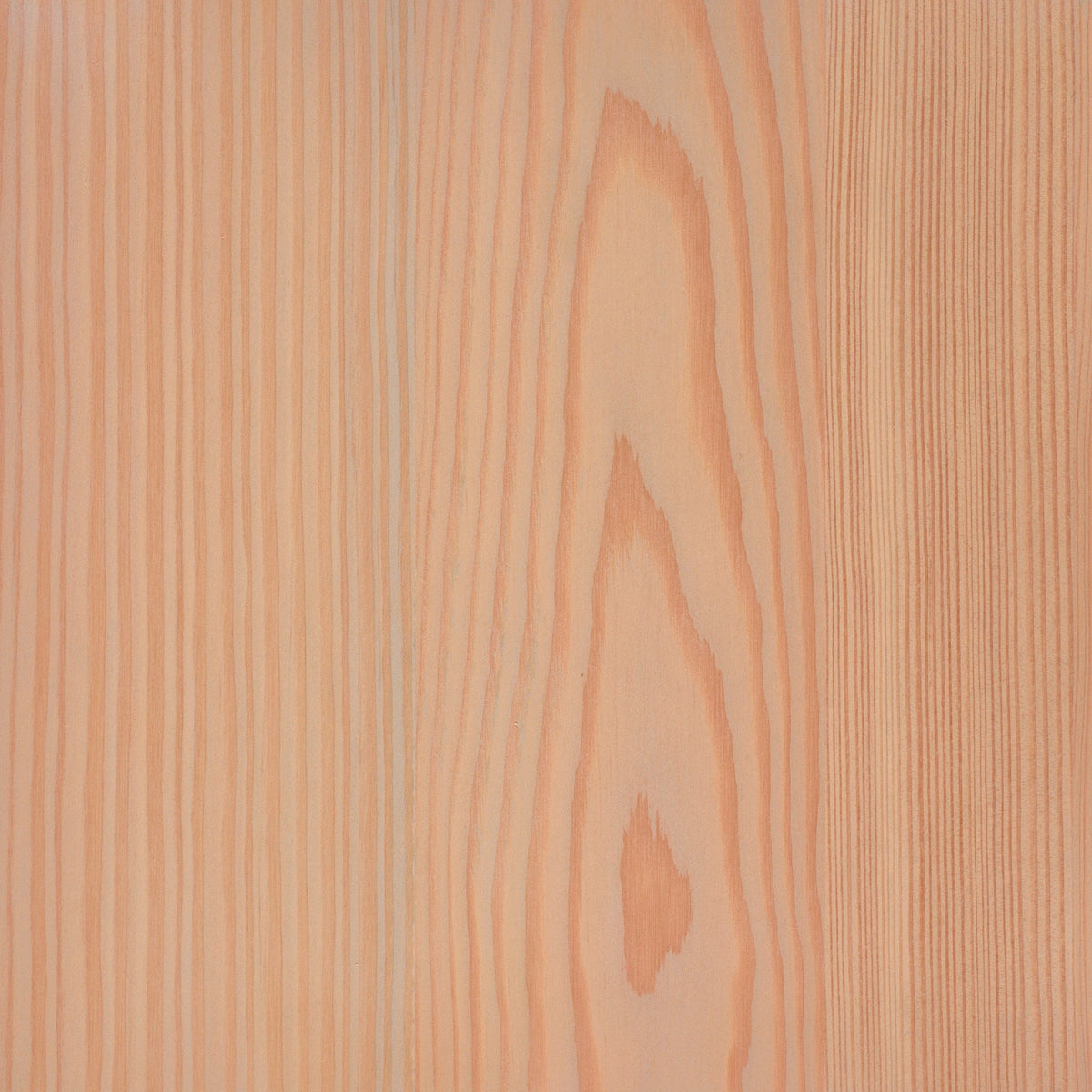 Larch