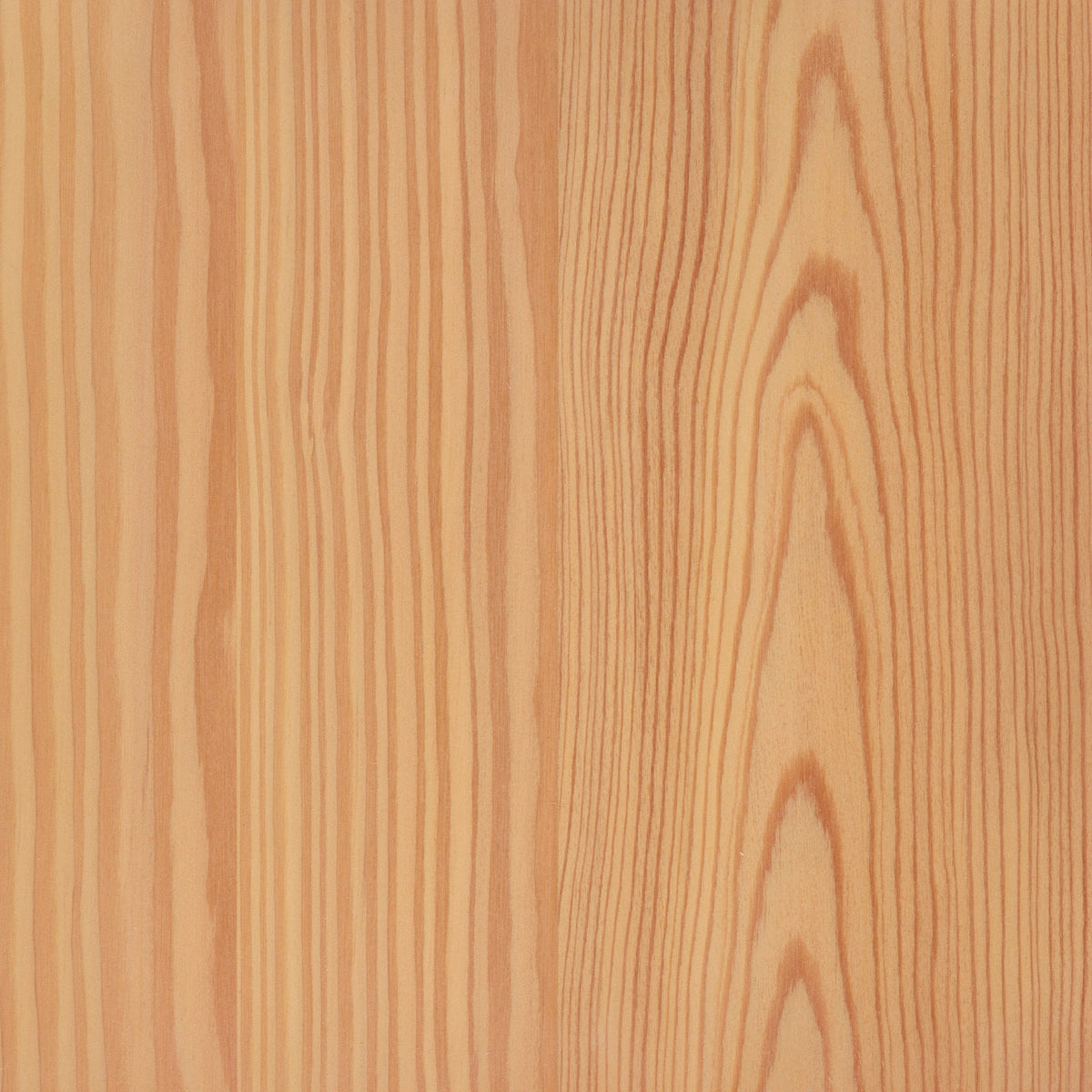 Larch