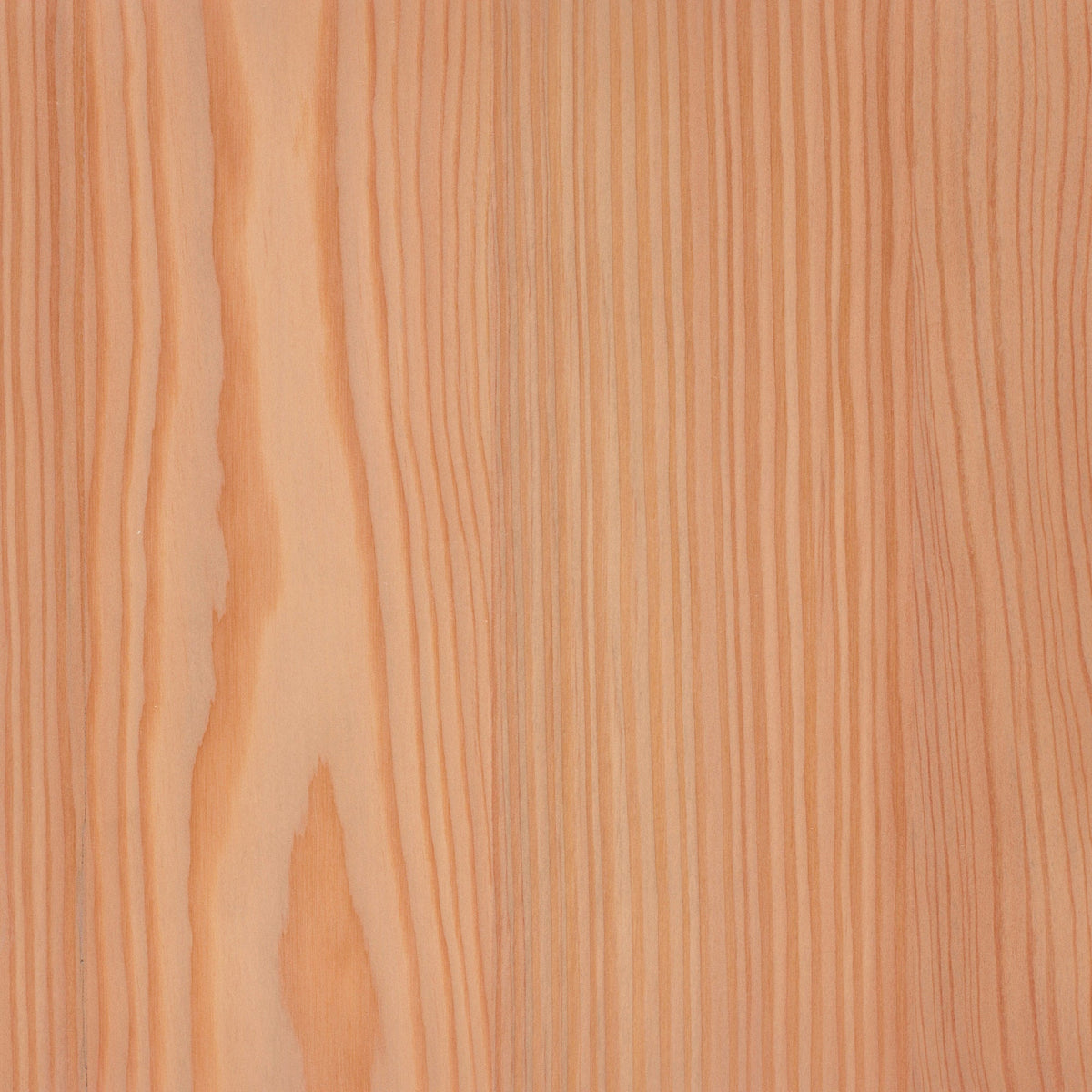 Larch