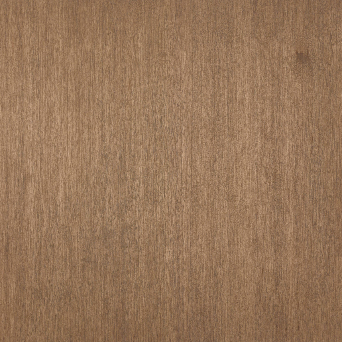 Maple