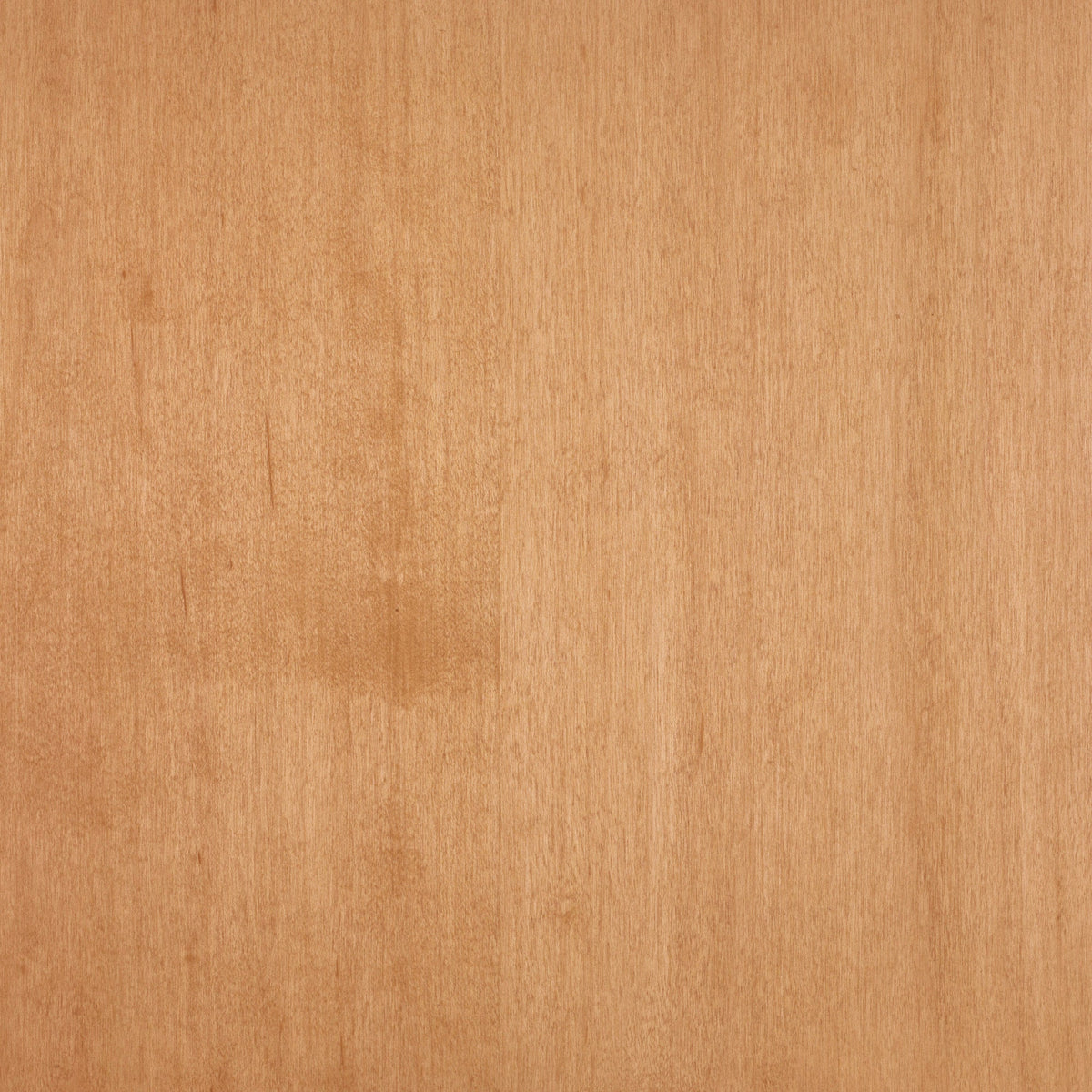 Maple