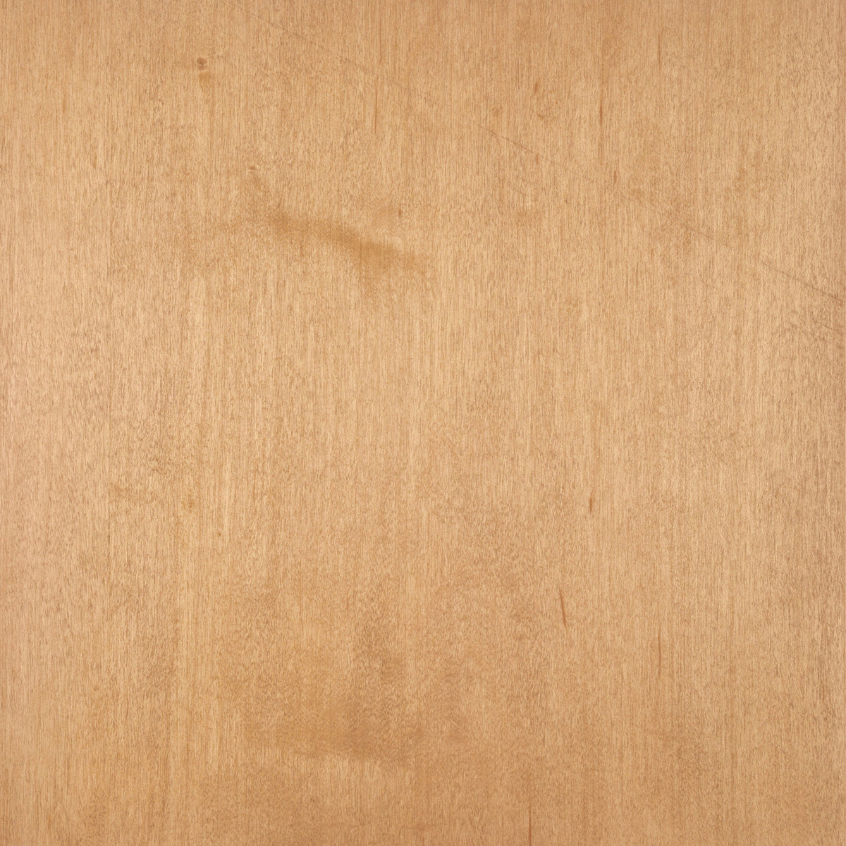 Maple