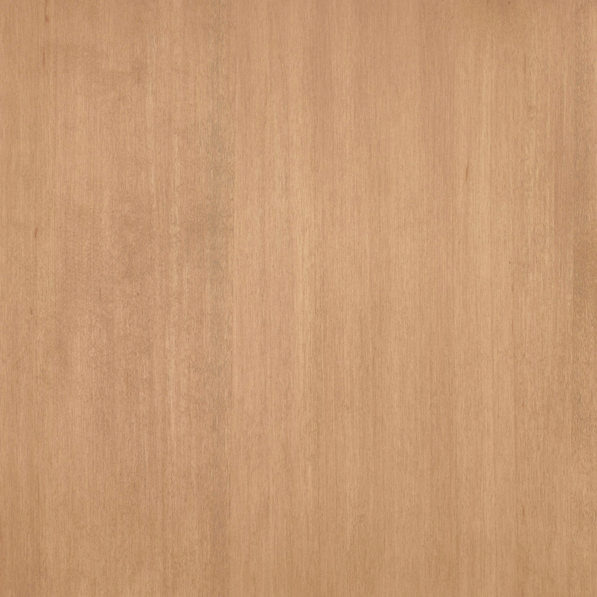 Maple