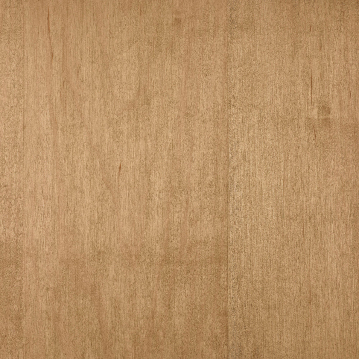 Maple
